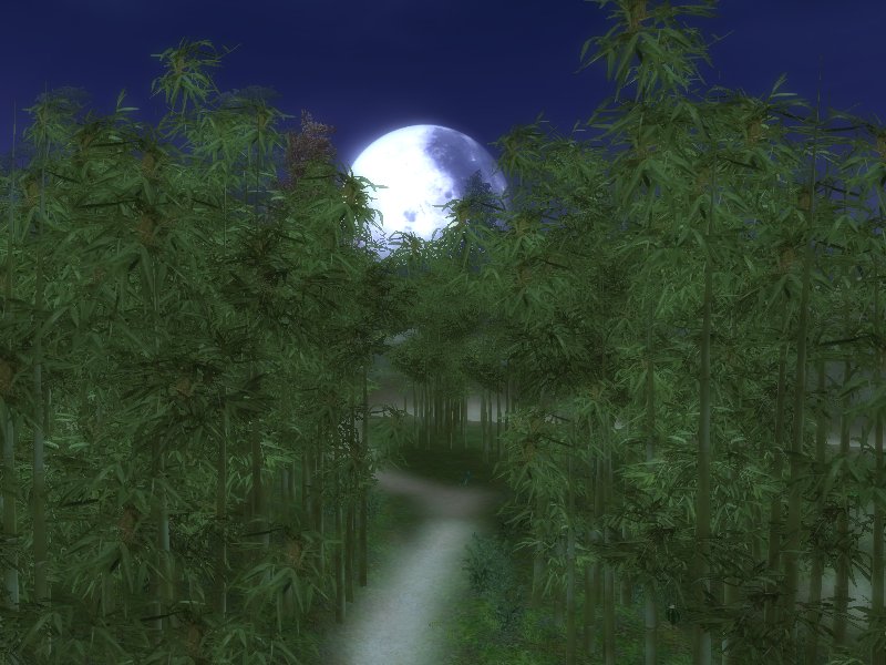 game-online-3d-dep-nhat-moon1.jpg
